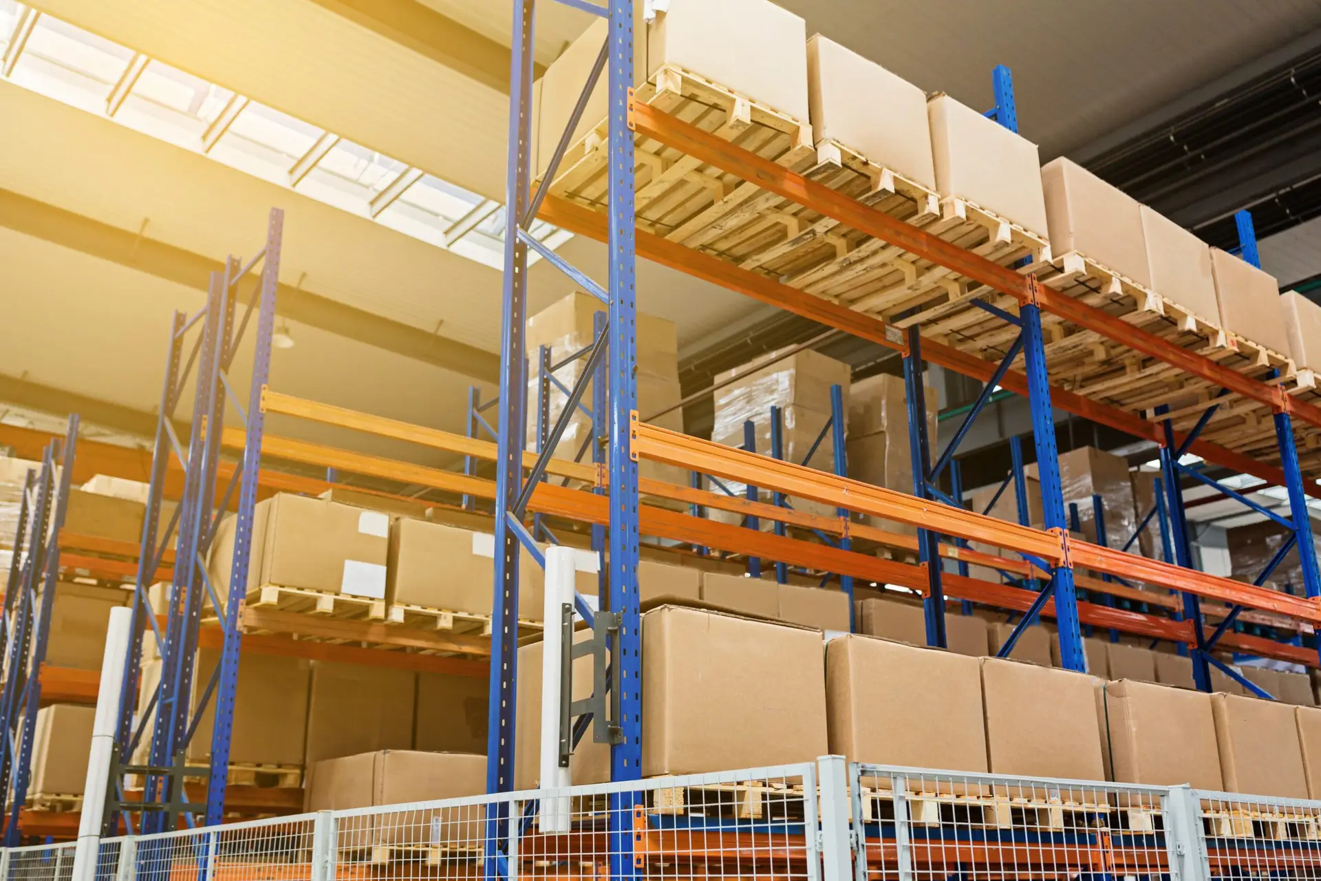 Nolwazi Projects team focused on warehouse safety and compliance